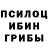Псилоцибиновые грибы Psilocybine cubensis Micah Navarro