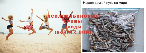 ECSTASY Нефтекумск