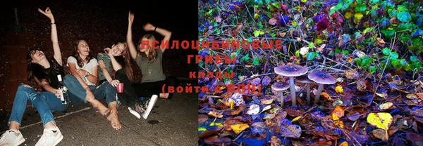 ECSTASY Нефтекумск
