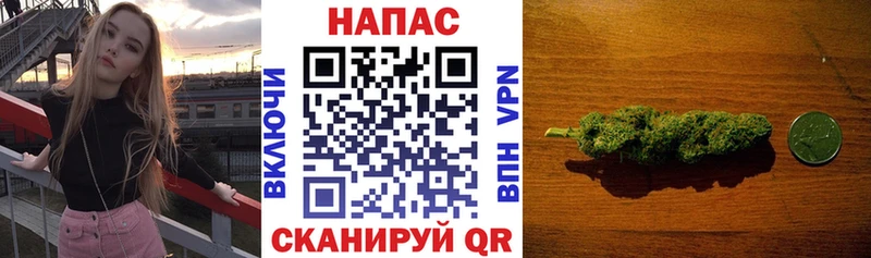 Бошки Шишки план Пошехонье